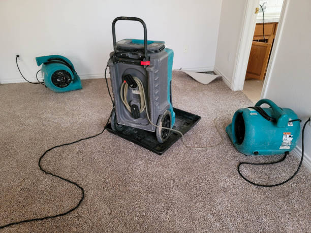 Best Water damage restoration near me  in Urbana, IA