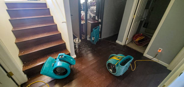 Best Ceiling water damage repair  in Urbana, IA