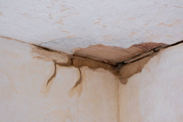 Best Flood restoration services  in Urbana, IA