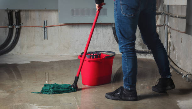Best Local water damage restoration  in Urbana, IA
