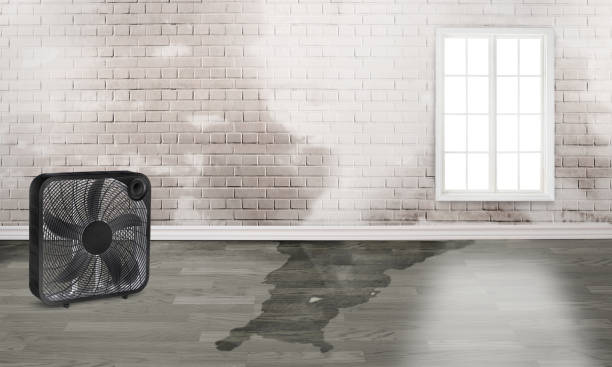 Best Commercial water damage restoration  in Urbana, IA