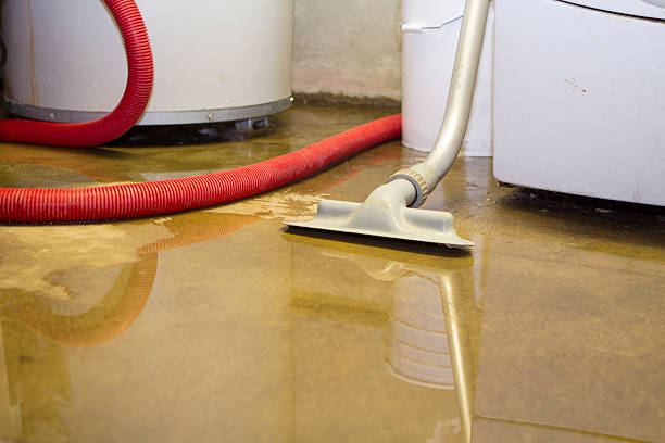 Best Water damage restoration process  in Urbana, IA