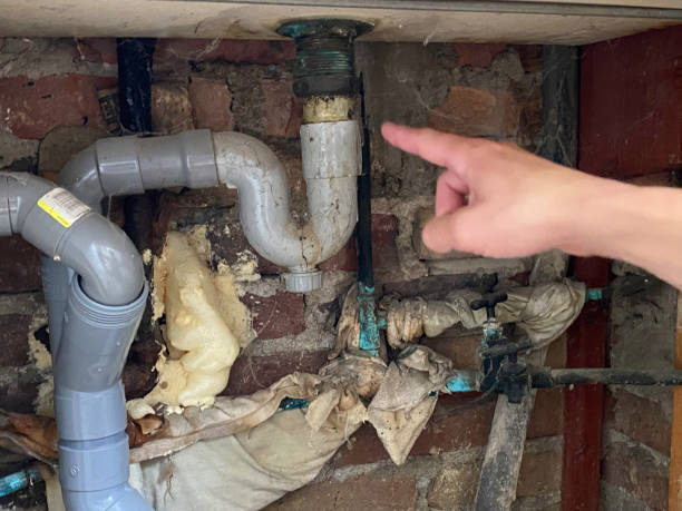 Best Water damage contractors near me  in Urbana, IA